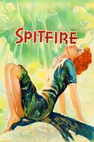 Poster do filme Spitfire