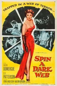 Spin a Dark Web movie poster