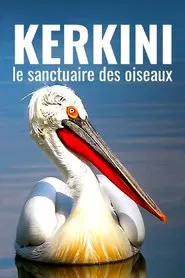 Kerkini: The Bird Sanctuary movie poster