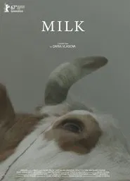 Poster do filme Milk