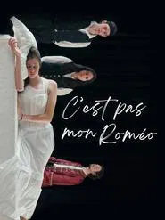 Poster do filme C'est pas mon Roméo