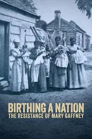 Birthing a Nation: The Resistance of Mary Gaffney movie poster