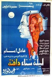 A Warm Winter Night movie poster