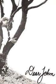 Poster do filme Querido John