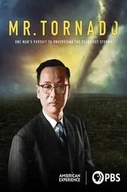 Mr. Tornado movie poster