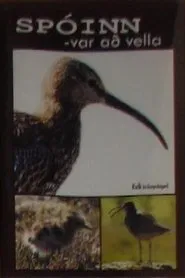 Spóinn var að vella movie poster