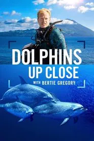 Dolphins Up Close with Bertie Gregory movie poster