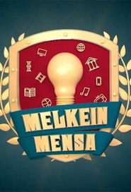 Melkein MENSA tv show poster
