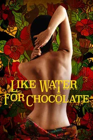 Like Water for Chocolate movie poster