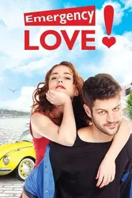Emergency Love tv show poster