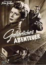 Adventures in Vienna movie poster