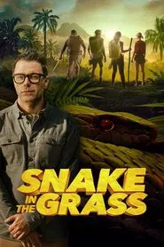 Snake in the Grass tv show poster
