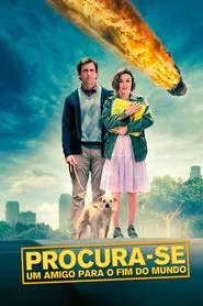 Poster do filme Procura-se um Amigo para o Fim do Mundo