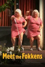 Meet the Fokkens movie poster