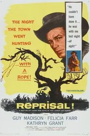 Poster do filme Reprisal!