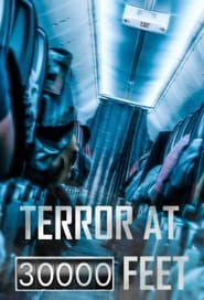 Terror at 30000 Feet tv show poster