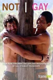 Not Gay movie poster