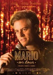 Poster do filme Mario on Tour