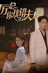 厉总，你找错夫人了 tv show poster