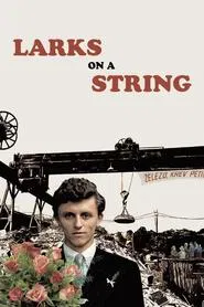 Larks on a String movie poster