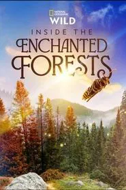 Inside the Enchanted Forests tv show poster