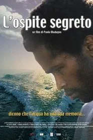 L'ospite segreto movie poster