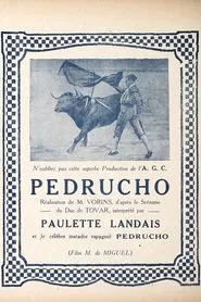 Pedrucho movie poster