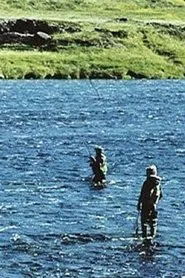 Will There Be Salmon Tomorrow? movie poster