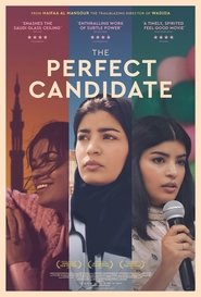 The Perfect Candidate movie poster