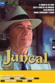 Poster da série Juncal