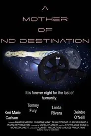 A Mother of No Destination movie poster