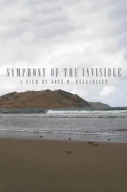 Symphony Of The Invisible movie poster