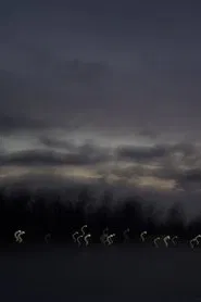 i heard the geese cry movie poster