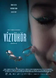 Reflections movie poster