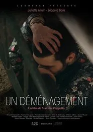 Poster do filme Un déménagement