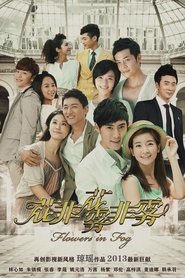 花非花雾非雾 DVD版 tv show poster