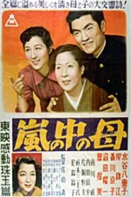 Man in the Storm movie poster