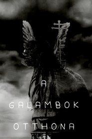 Home of Pigeons movie poster