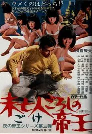 Poster do filme King of the Widow-Killers