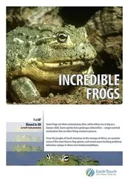 Incredible frogs movie poster