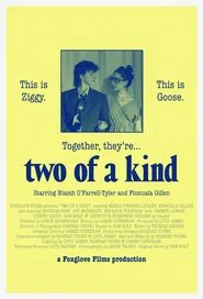 Two of a Kind movie poster