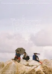 The Blurry Braids movie poster