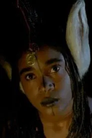 Poster do filme Fary the Donkey
