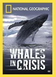 Whales in Crisis movie poster
