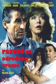 Part-Time Divorce movie poster