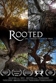 Rooted tv show poster