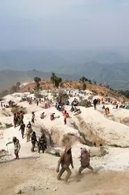 Poster do filme The Diggers