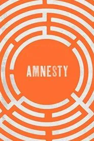 Amnesty movie poster