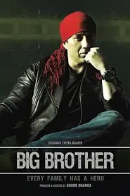 Poster do filme Big Brother