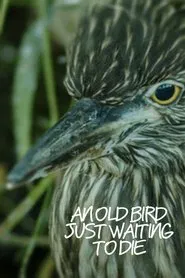 An Old Bird Just Waiting To Die movie poster